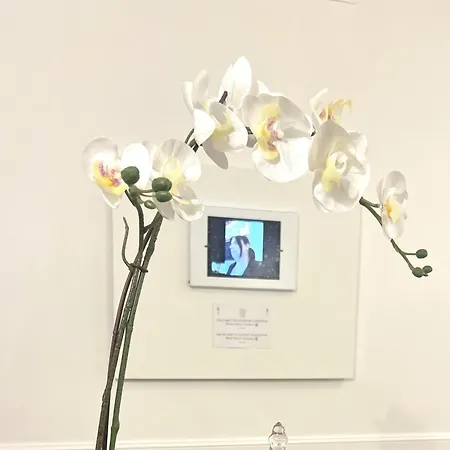 招待所 Interno